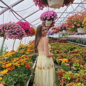 Free people dress